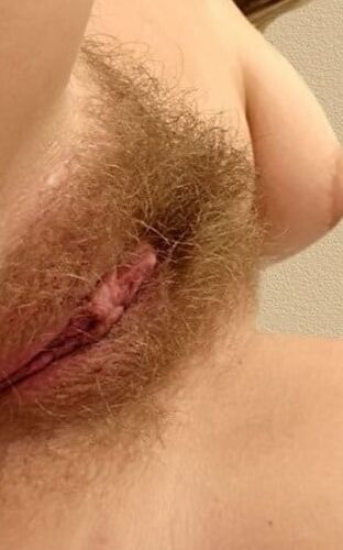 Hairy Pussy