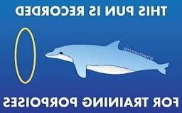 Very Bad Puns - You HAVE been warned! (NSFW)