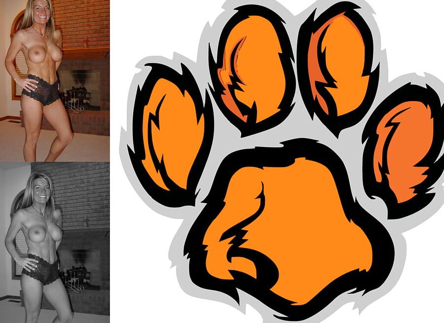 Cougar Collage