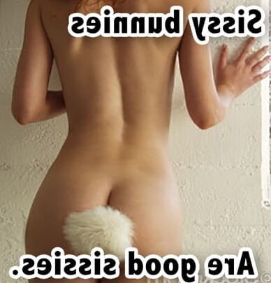 Butt Plus