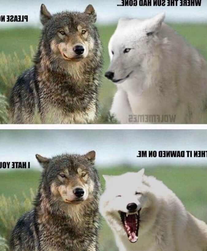 Very Bad Puns - You HAVE been warned! (NSFW)