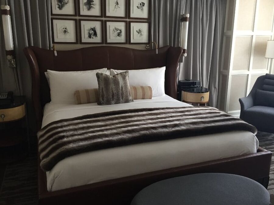 Dream Beds I want to have sex in