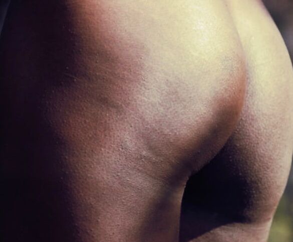 The Art of Ass