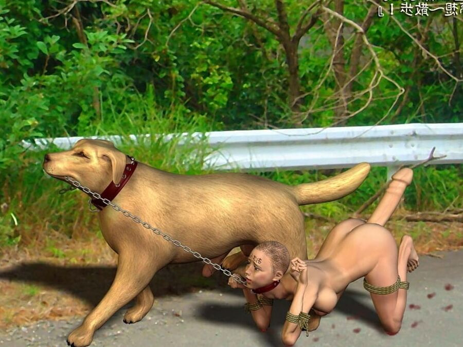 pets