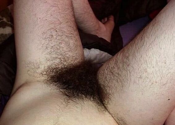Pits, pussy and tits. Very hairy!