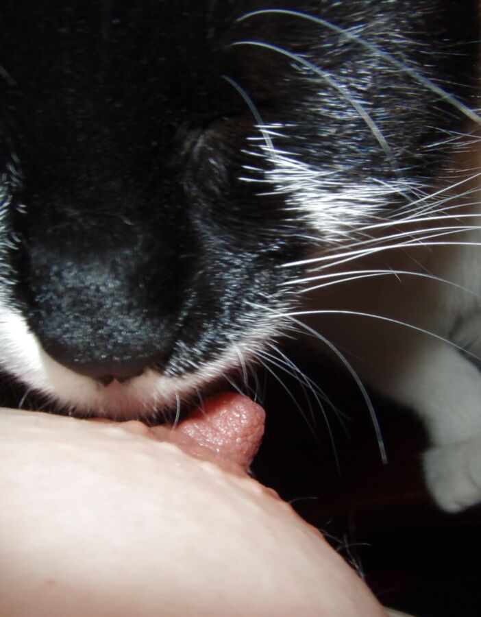 Just Me And My Pussy