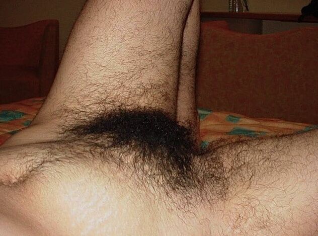 Pits, pussy and tits. Very hairy!