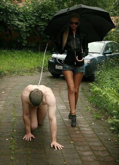 Cock leash