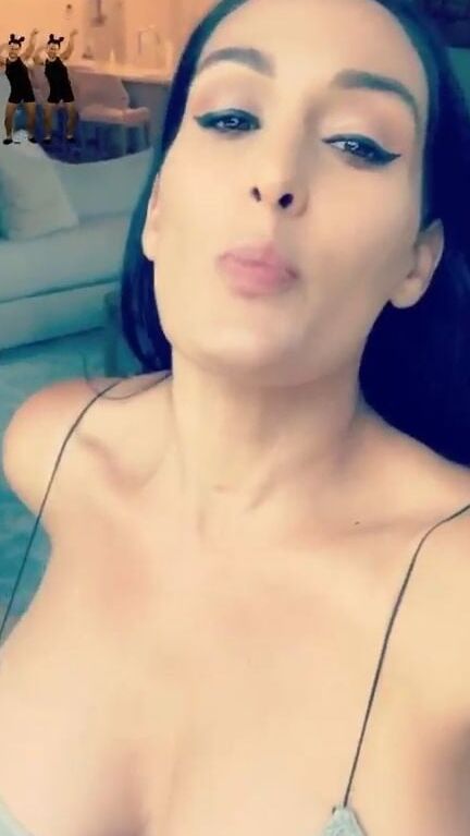 Wwe Nikki Bella