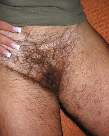 Pits, pussy and tits. Very hairy!