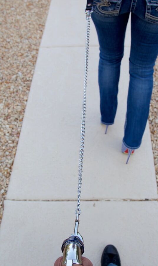 Cock leash