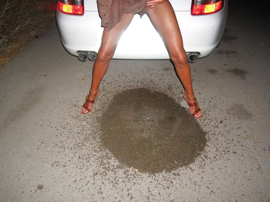theSandfly Piss Take!