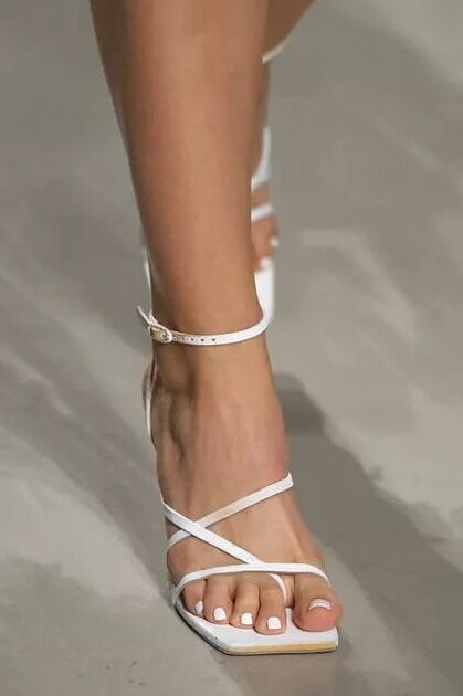legs