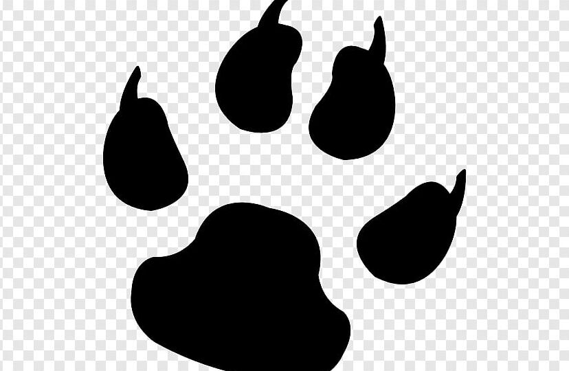 pets