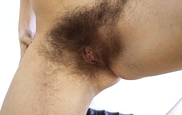 Pits, pussy and tits. Very hairy!