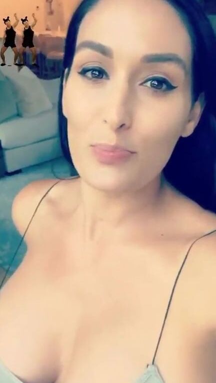 Wwe Nikki Bella