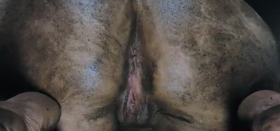 things that turn me on