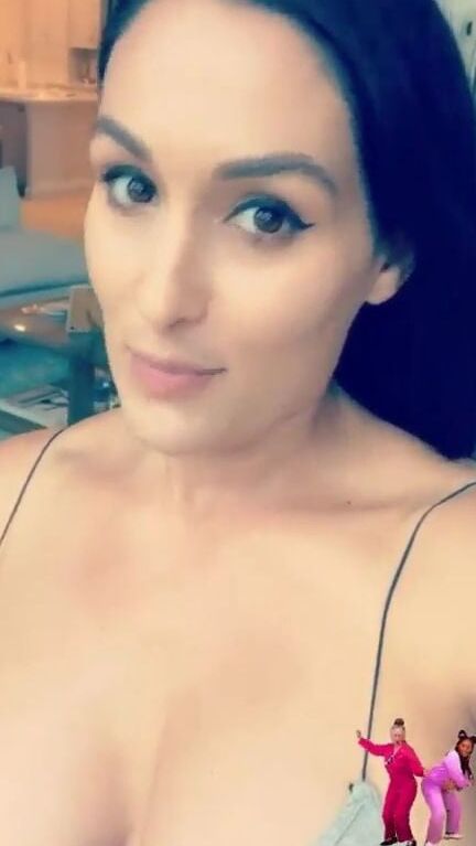 Wwe Nikki Bella