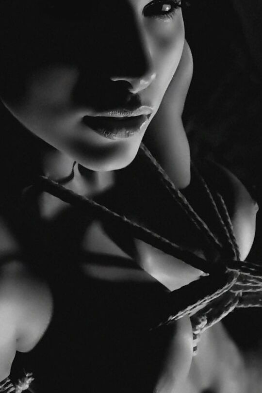 The art of shibari