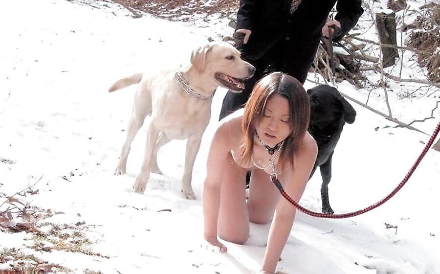 pets