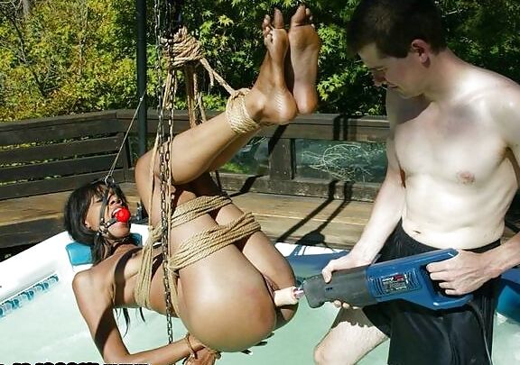 funny pics