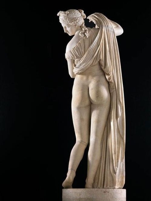 Thick White Girl Asses