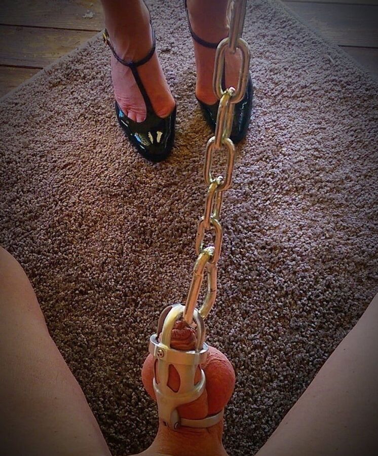 Cock leash