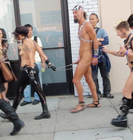 Cock leash