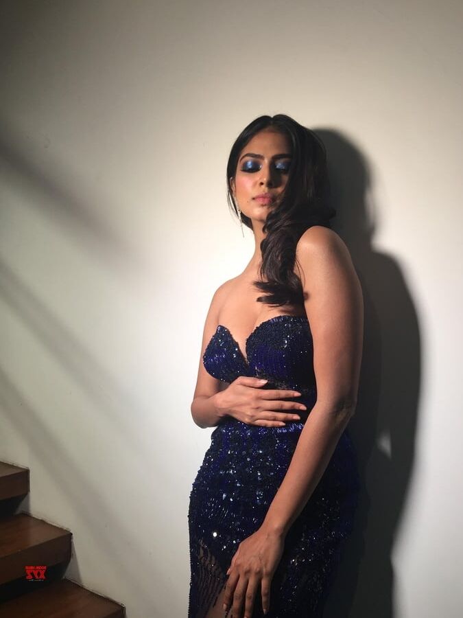 Malavika Mohanan Hot Pics HD