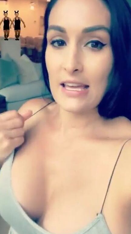 Wwe Nikki Bella