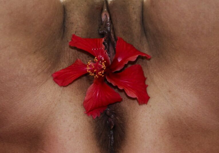 bonne chatte
