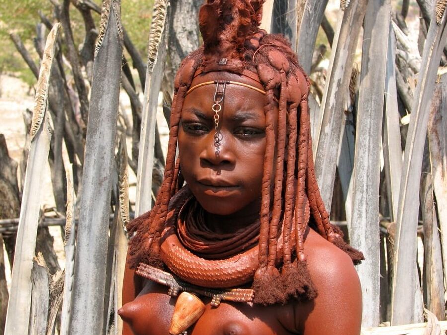 Natural African Tits