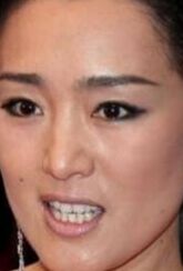 Gong Li