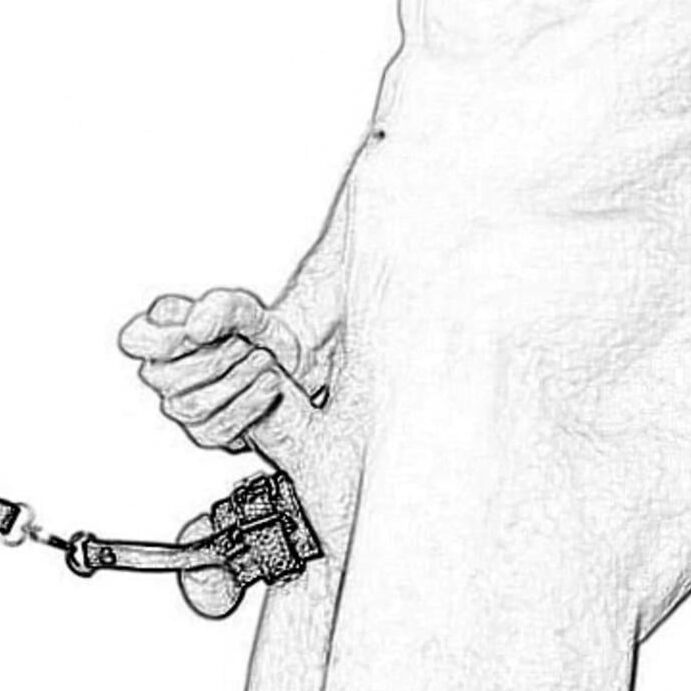 Cock leash