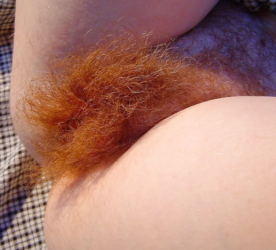 Bonnes chattes poilues (vol.) Hairy cunt pussy