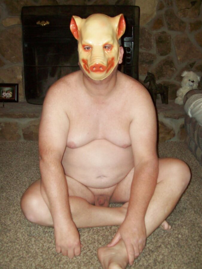 old slave pig