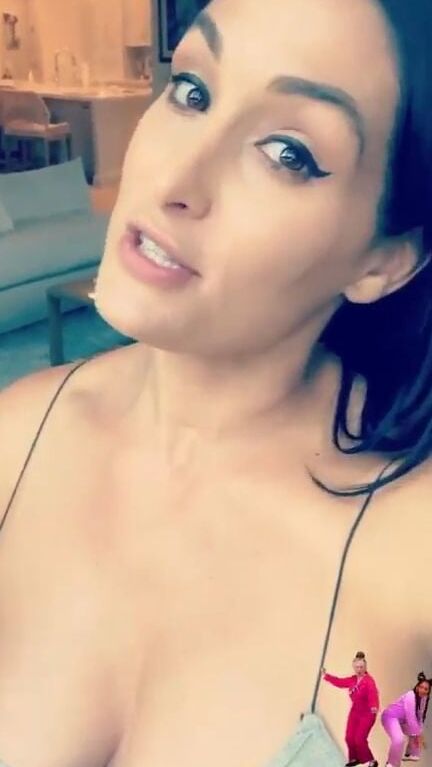 Wwe Nikki Bella