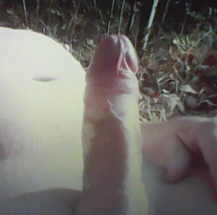 Private erotic photos