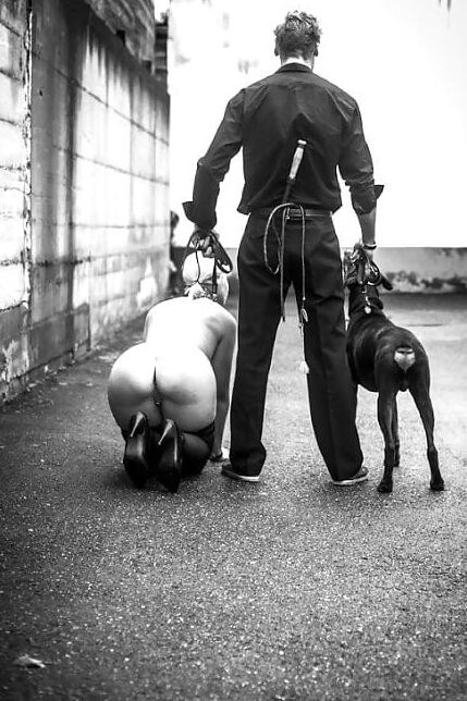 pets