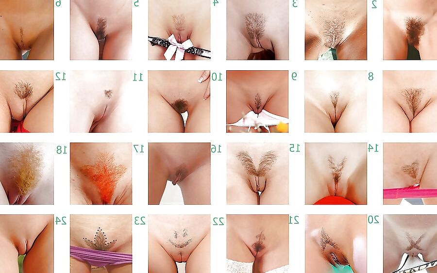 Pussy pics I like