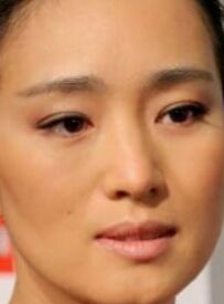 Gong Li