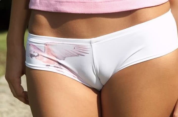 Cameltoe