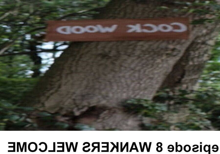 cock wood