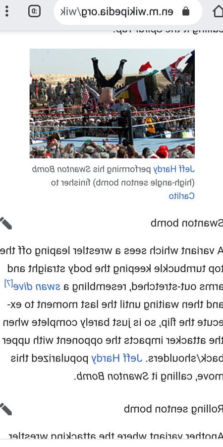 WRESTLELADIES SELENAREGINA WUSHUKENPO