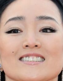 Gong Li