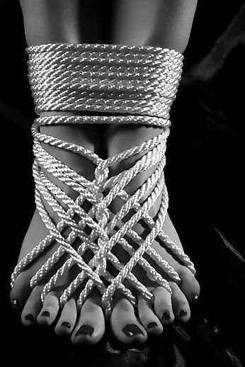 The art of shibari