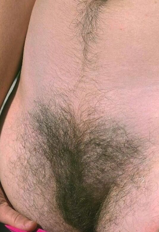 Pits, pussy and tits. Very hairy!