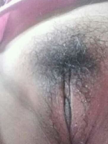 porn pics