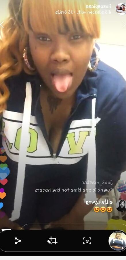 Spicee Live Pictures