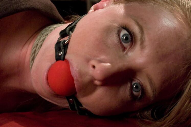 Gag Your Pig